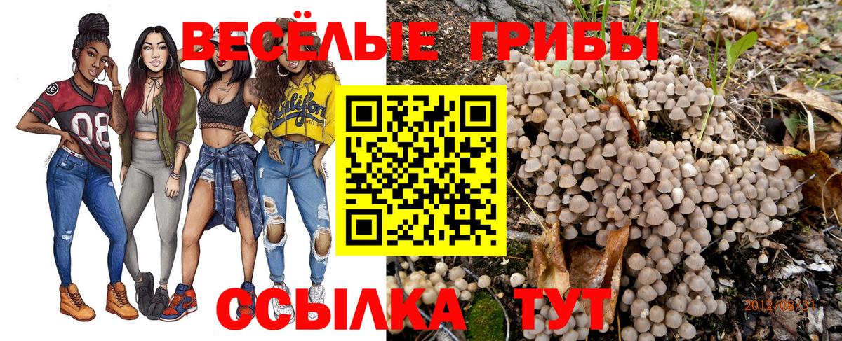 Янаул  Псилоцибиновые грибы GOLDEN TEACHER  Галлюциногенные грибы MAGIC MUSHROOMS  Вход с VPN 