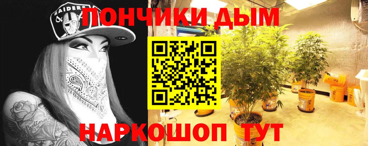 Бошки марихуана Amnesia  Конопля Amnesia  Янаул  Вход с VPN  Марихуана сатива 